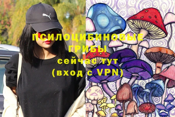 мяу мяу мука Алексеевка