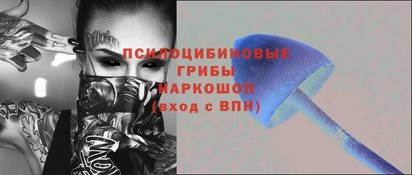 первитин Нея