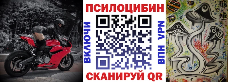 Псилоцибиновые грибы мицелий  Сортавала 